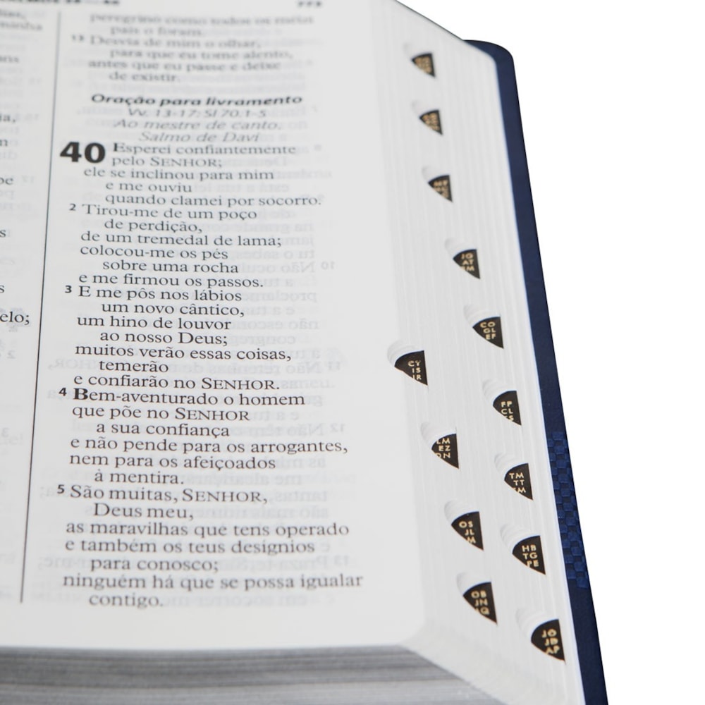 Bíblia Sagrada | Letra Gigante | ARA | Capa Azul Luxo | c/ Índice