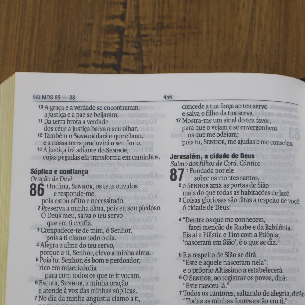 Bíblia Evangelismo Capa Dura | NAA | Preta