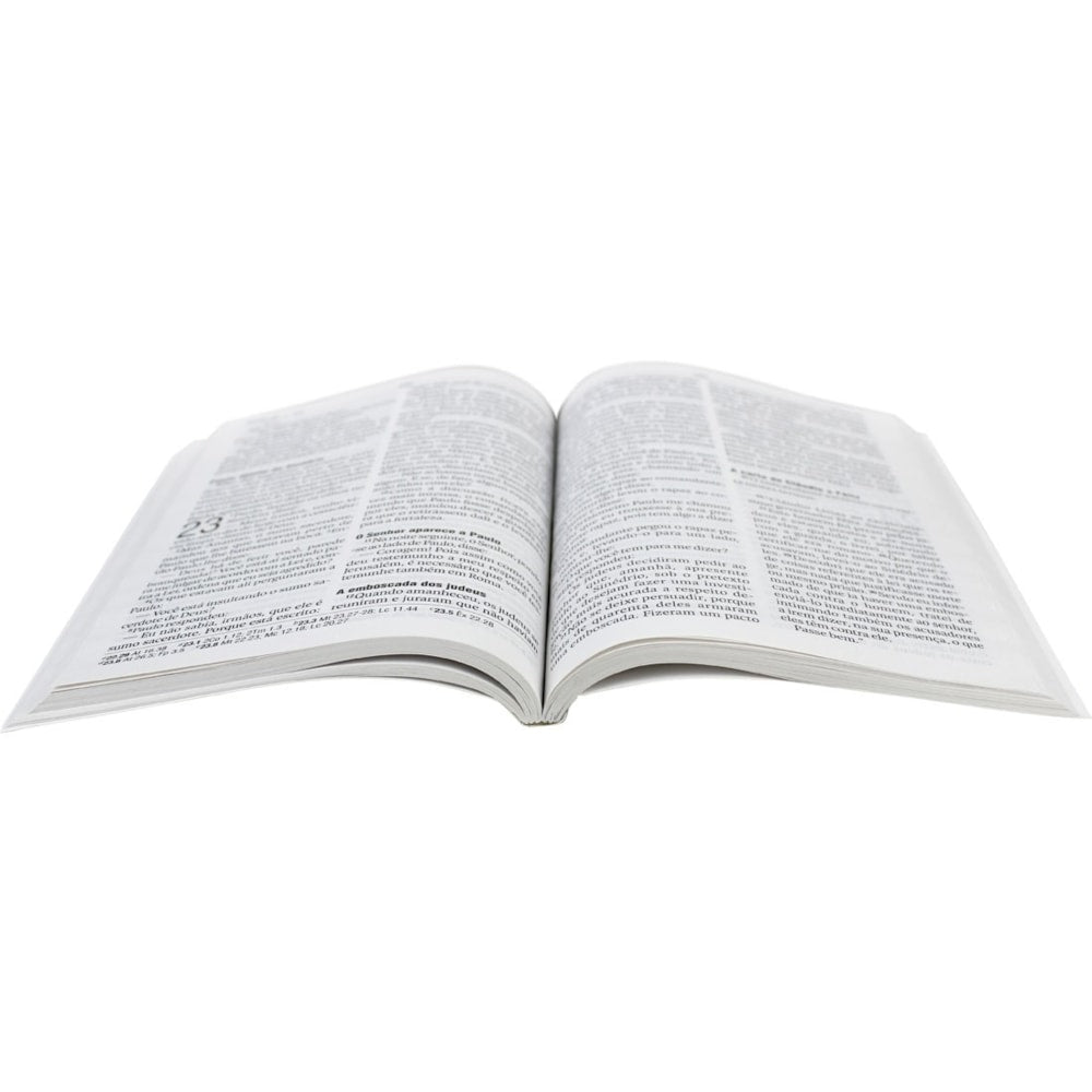 Novo Testamento NAA