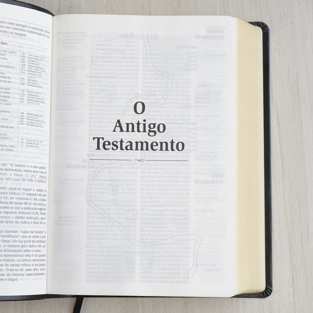Bíblia de Estudo Thompson | AEC Letra Grande | Preta Luxo