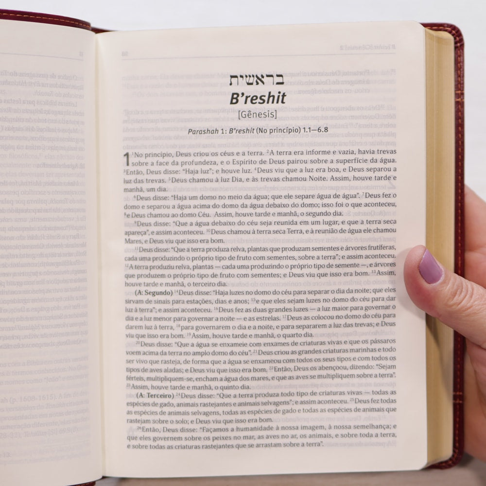 Bíblia Judaica Completa | Letra Normal | Capa Luxo Vinho