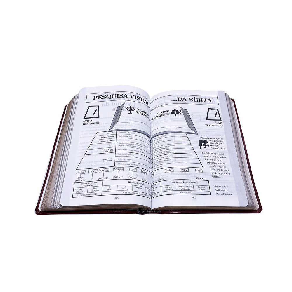Bíblia de Recursos para o Ministério com Crianças | Apec | ARA | Marrom Luxo