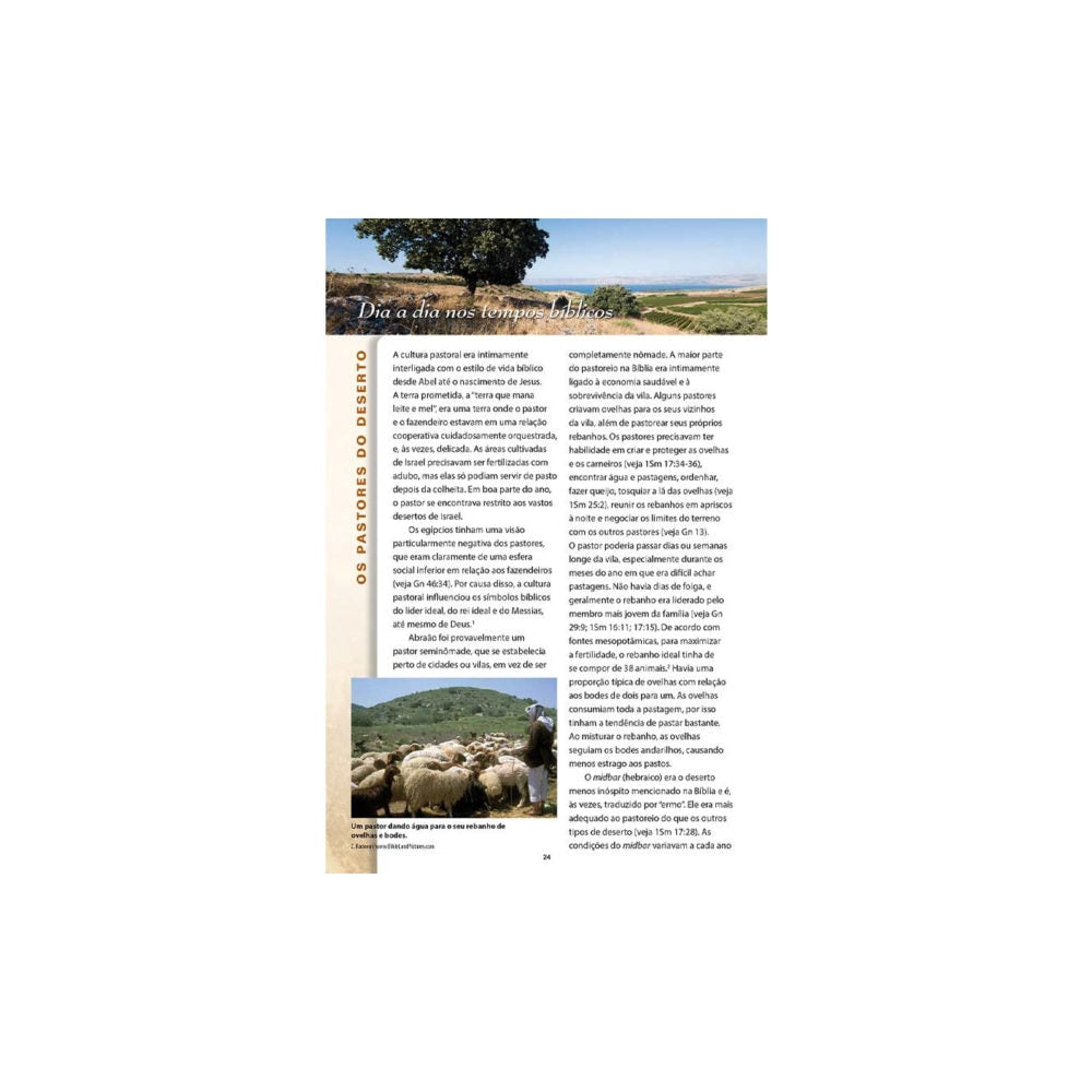 Ensinamentos da Torá | Thomas Nelson