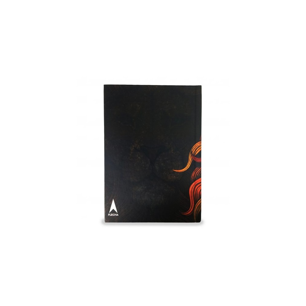 Bíblia Aslam | NAA | Capa Dura