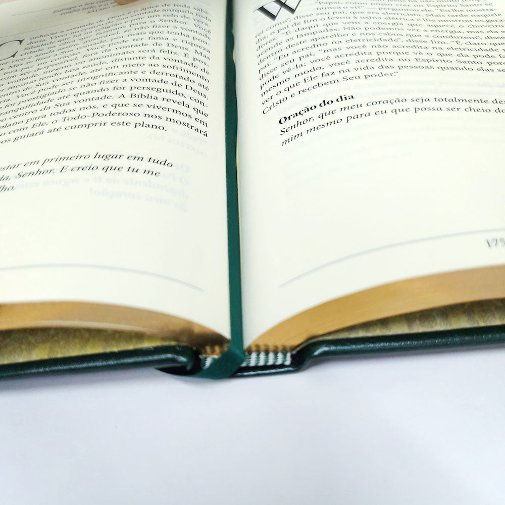 Dia a dia com Billy Graham | Devocional Luxo