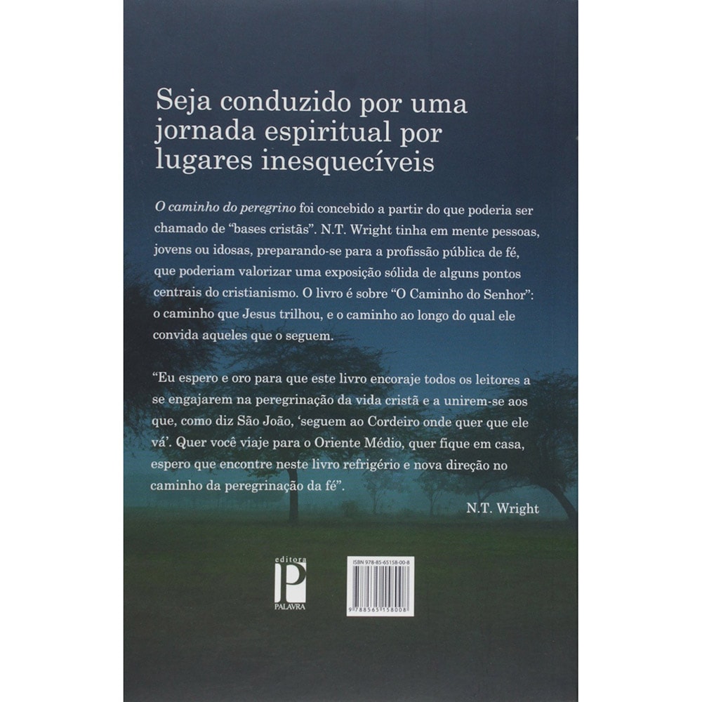 O Caminho do Peregrino | N T Wright