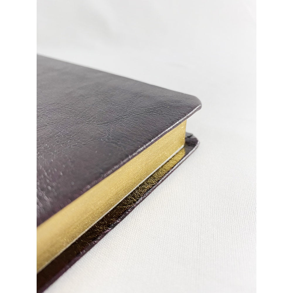 Bíblia Sagrada Slim | NVT | Letra Normal | Capa Marrom