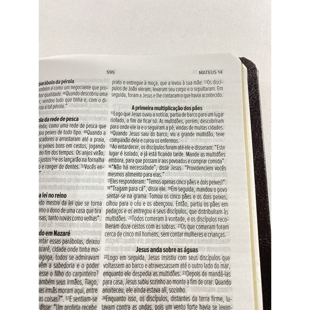 Bíblia Sagrada Slim | NVT | Letra Normal | Capa Marrom