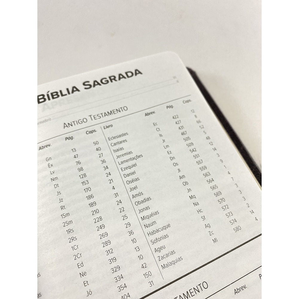 Bíblia Sagrada Slim | NVT | Letra Normal | Capa Marrom