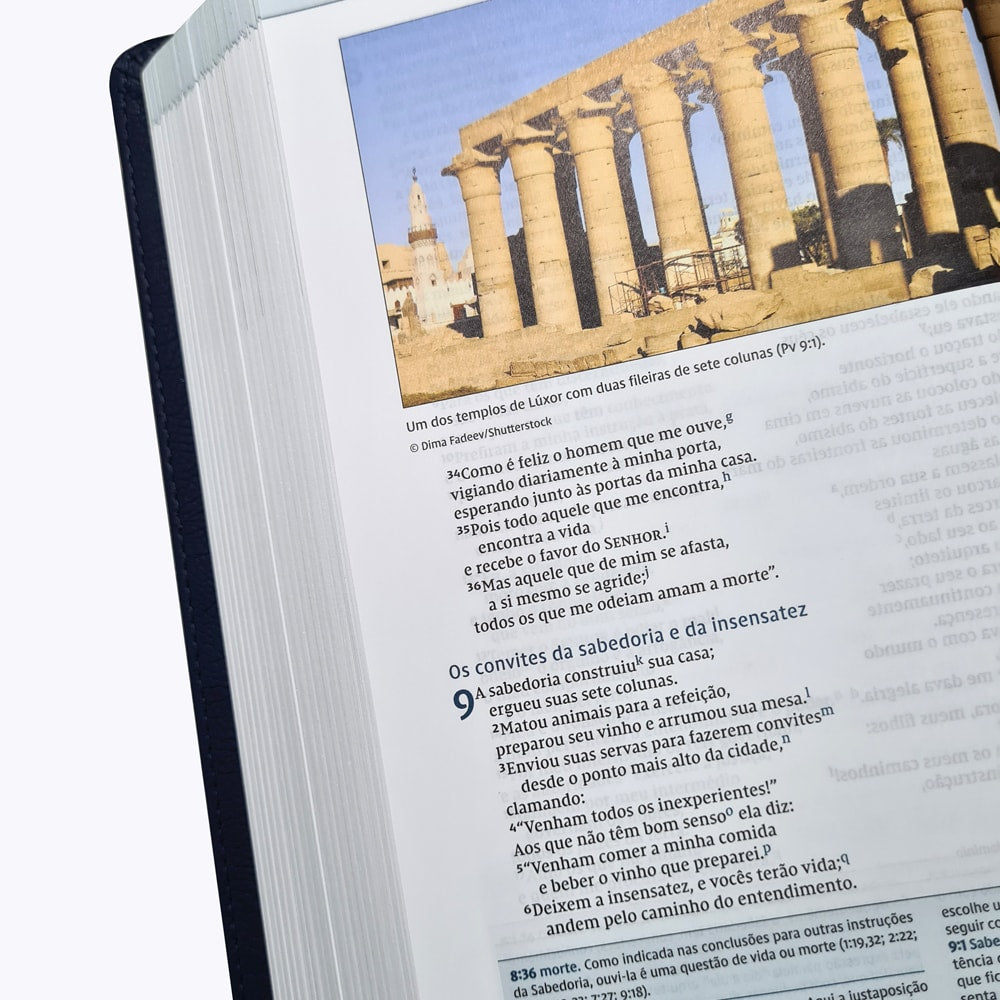Bíblia De Estudo Thomas Nelson | NVI | Letra Normal | Capa Luxo Azul