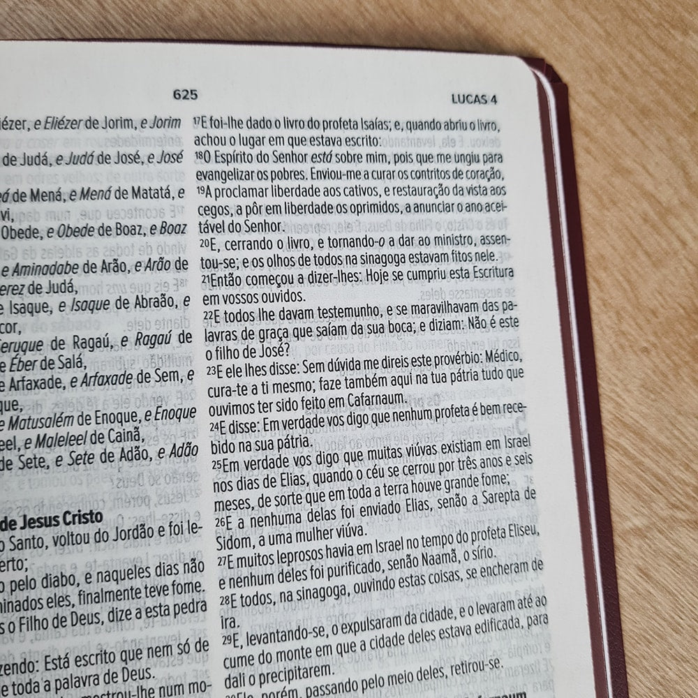 Bíblia Sagrada Paz | ACF | Letra Maior | Capa Luxo