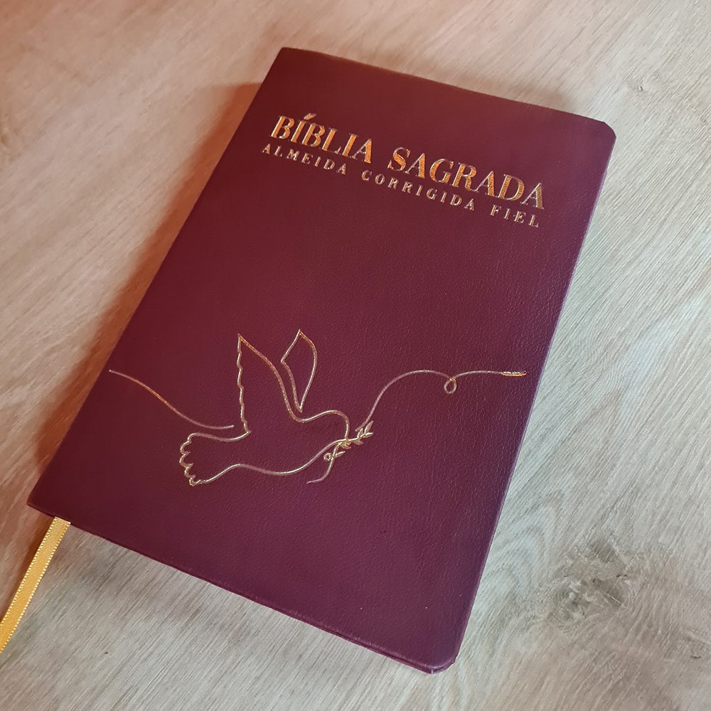 Bíblia Sagrada Paz | ACF | Letra Maior | Capa Luxo