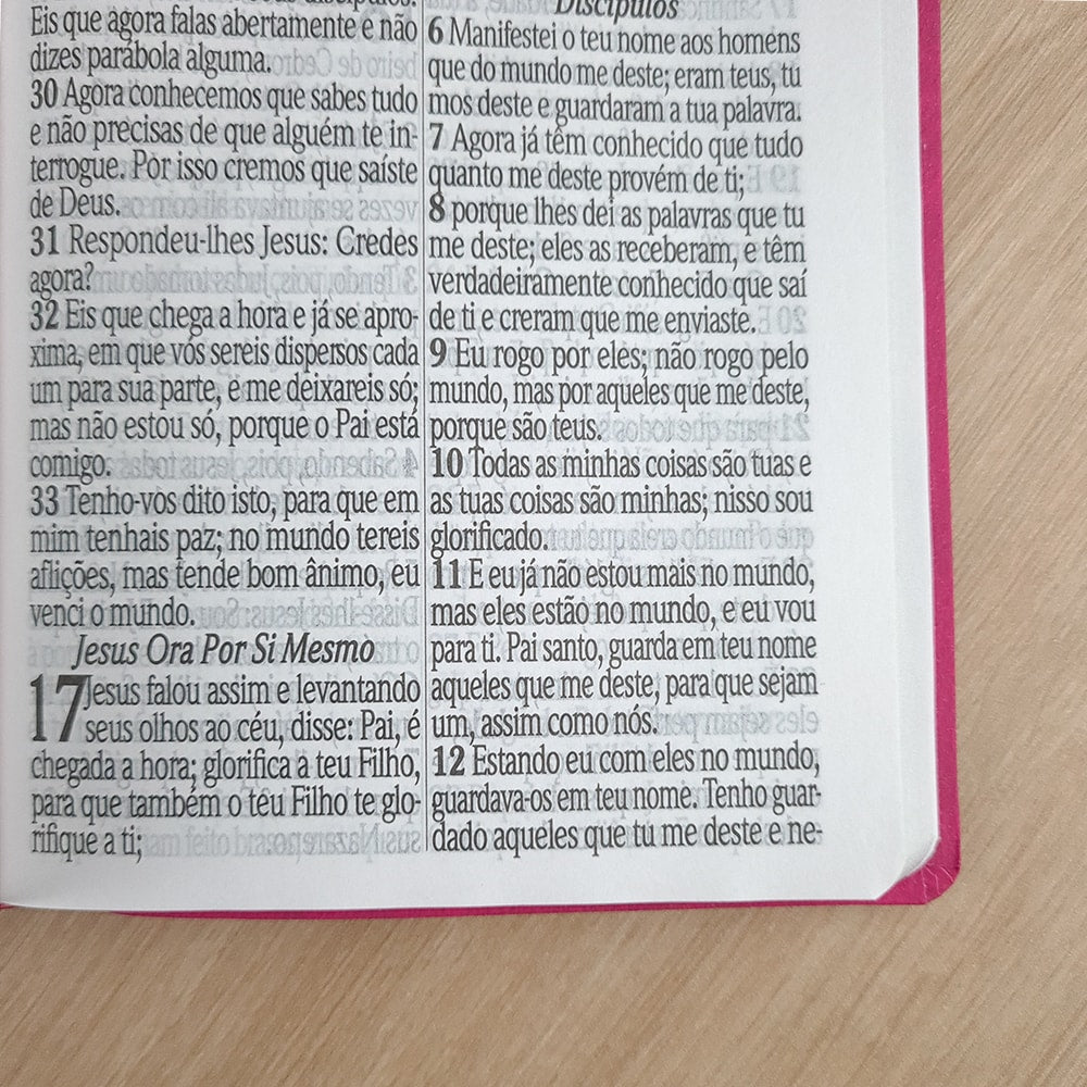 Bíblia Sagrada com Harpa Avivada e Corinhos | ARC | Letra Jumbo | Capa Semiflexível Pink