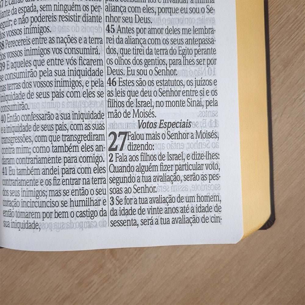Bíblia Sagrada com Harpa Avivada e Corinhos | ARC | Letra Jumbo | Capa Semiflexível Azul