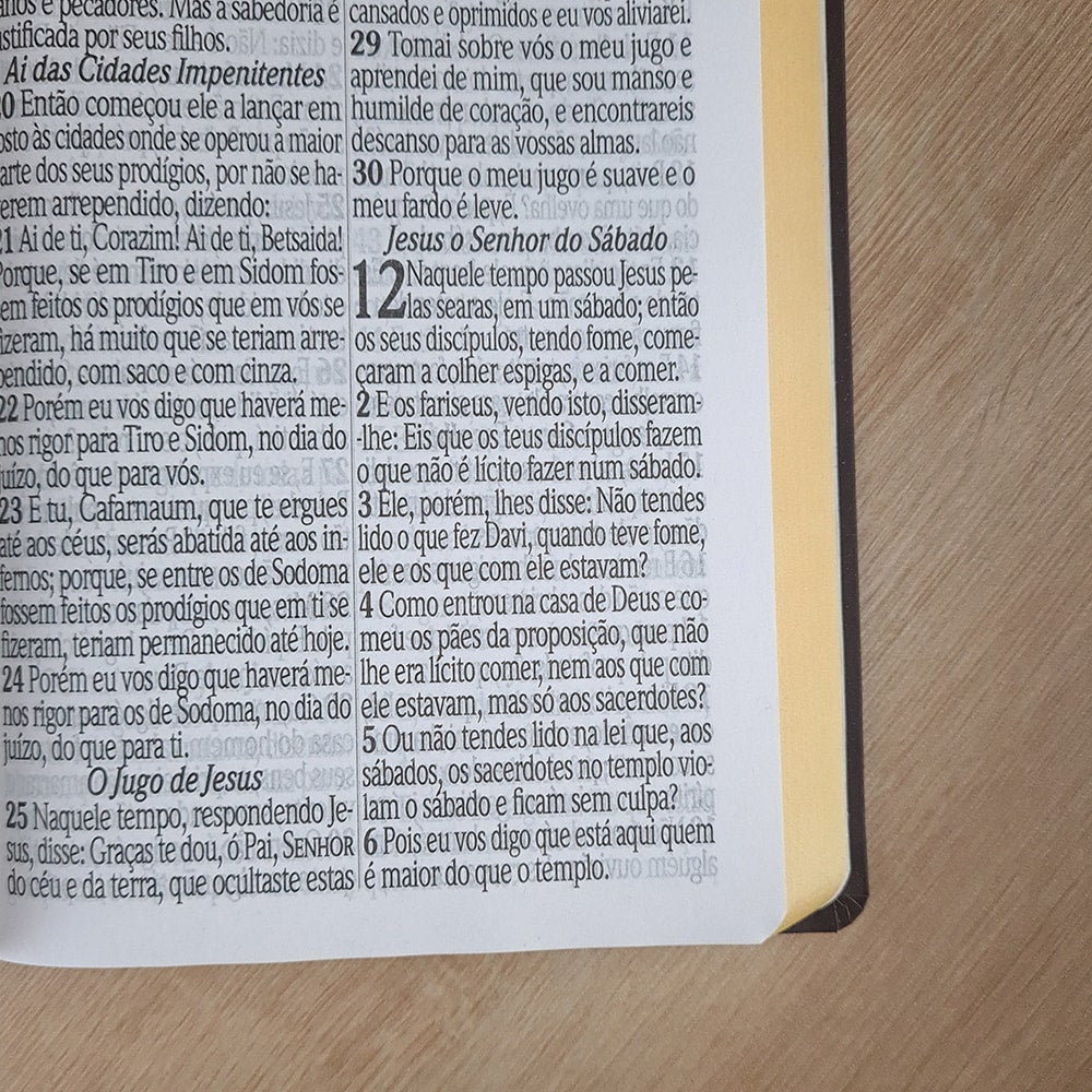 Bíblia Sagrada com Harpa Avivada e Corinhos | ARC | Letra Jumbo | Capa Semiflexível Azul