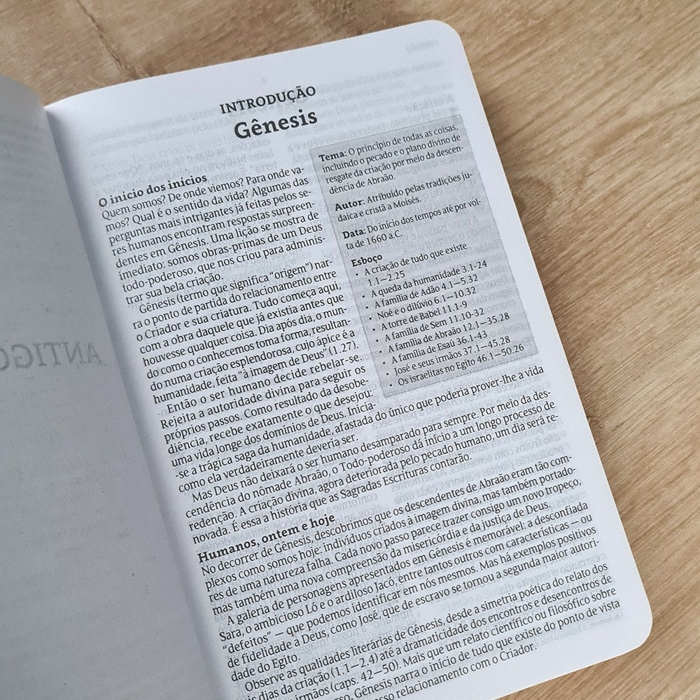 Bíblia Sagrada Clássica | NVT Max | Letra Grande | Capa Dura