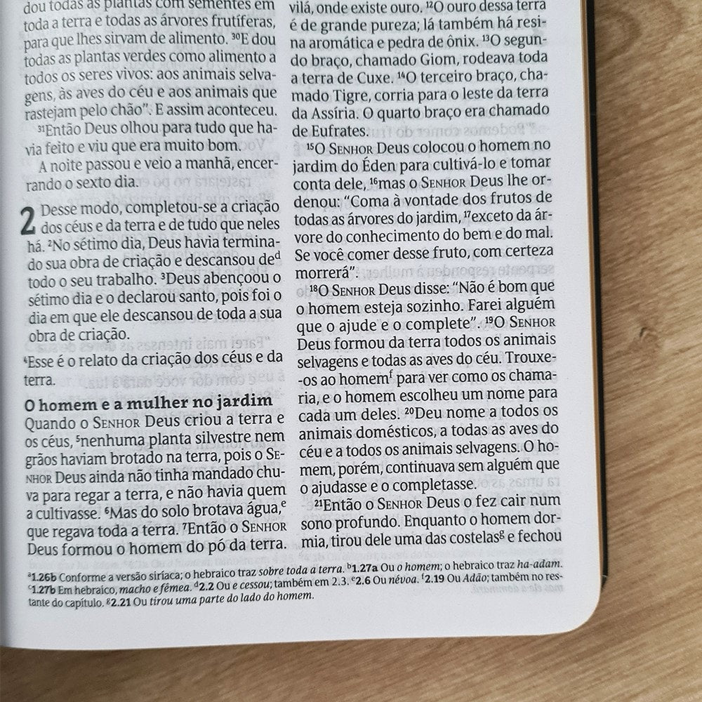 Bíblia Sagrada Clássica | NVT Max | Letra Grande | Capa Dura