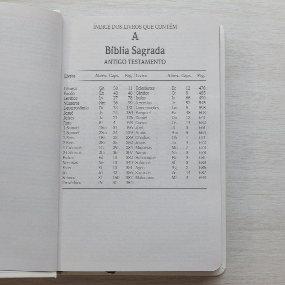 Bíblia Sagrada Floresça | NVI | Letra Maior | Capa Dura