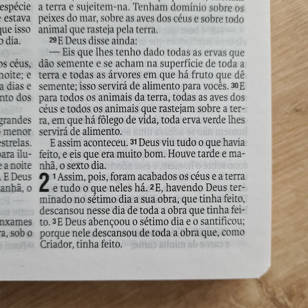 Bíblia Sagrada Flores | NAA | Letra Normal | Capa Dura