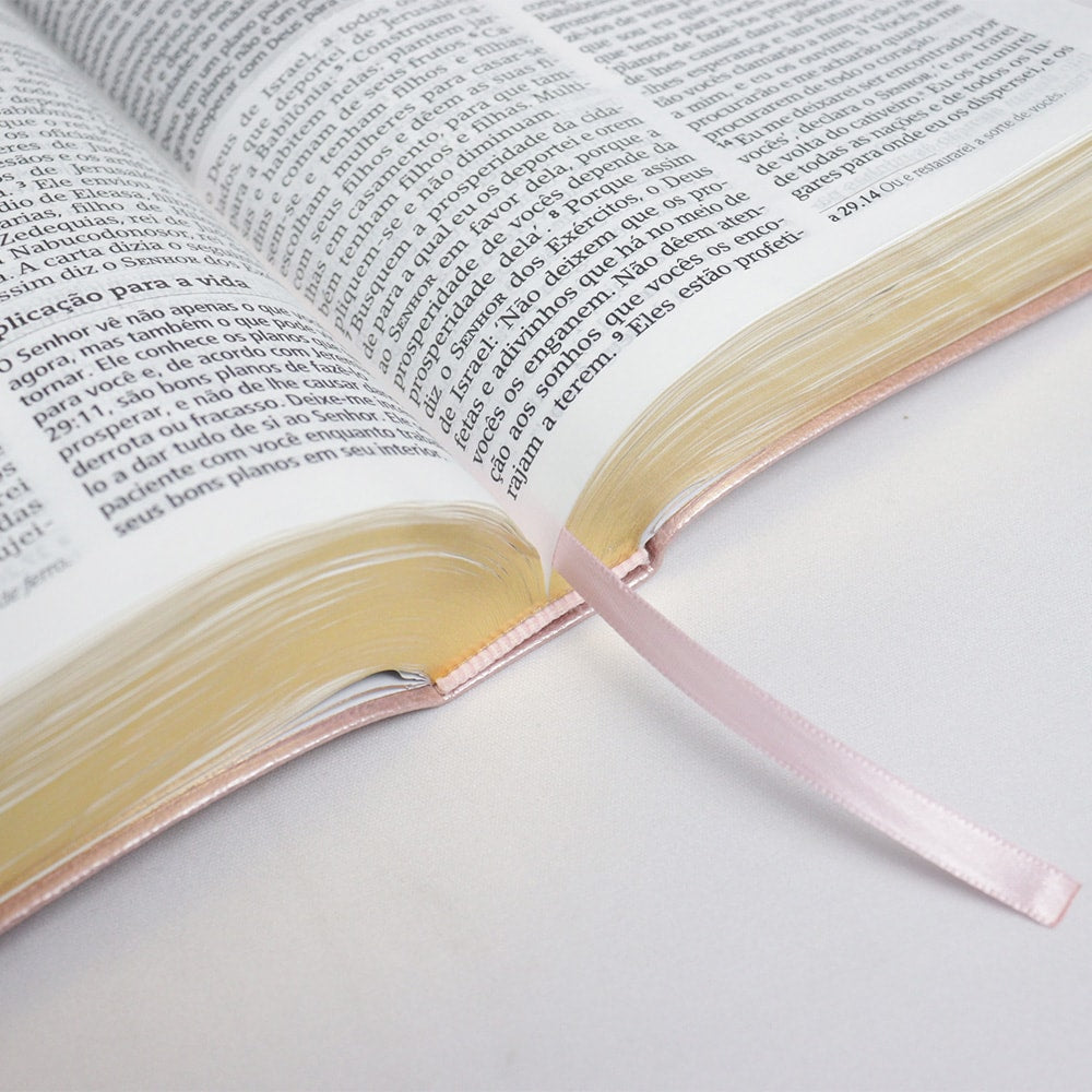 Bíblia De Estudo Joyce Meyer | NVI | Letra Grande | Capa Luxo Rosa