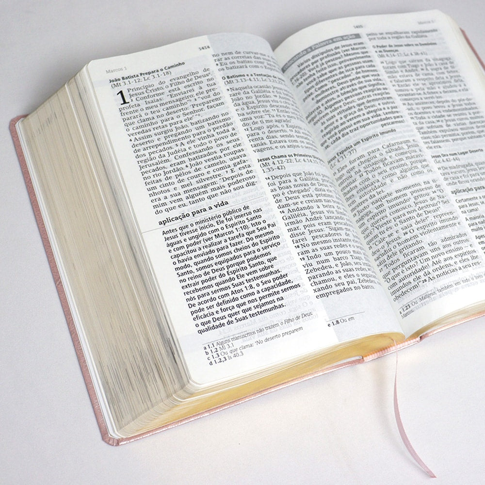 Bíblia De Estudo Joyce Meyer | NVI | Letra Grande | Capa Luxo Rosa