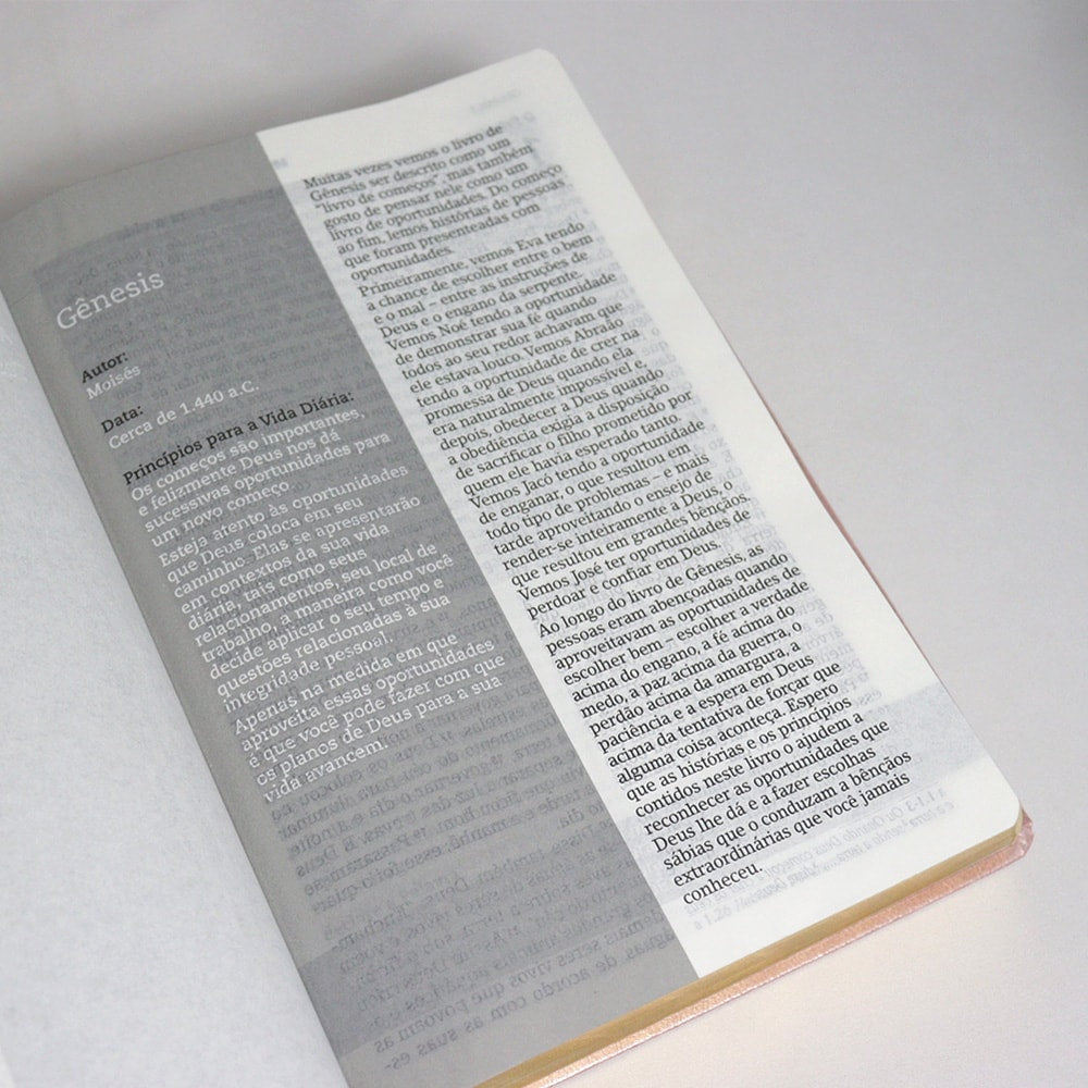 Bíblia De Estudo Joyce Meyer | NVI | Letra Grande | Capa Luxo Rosa