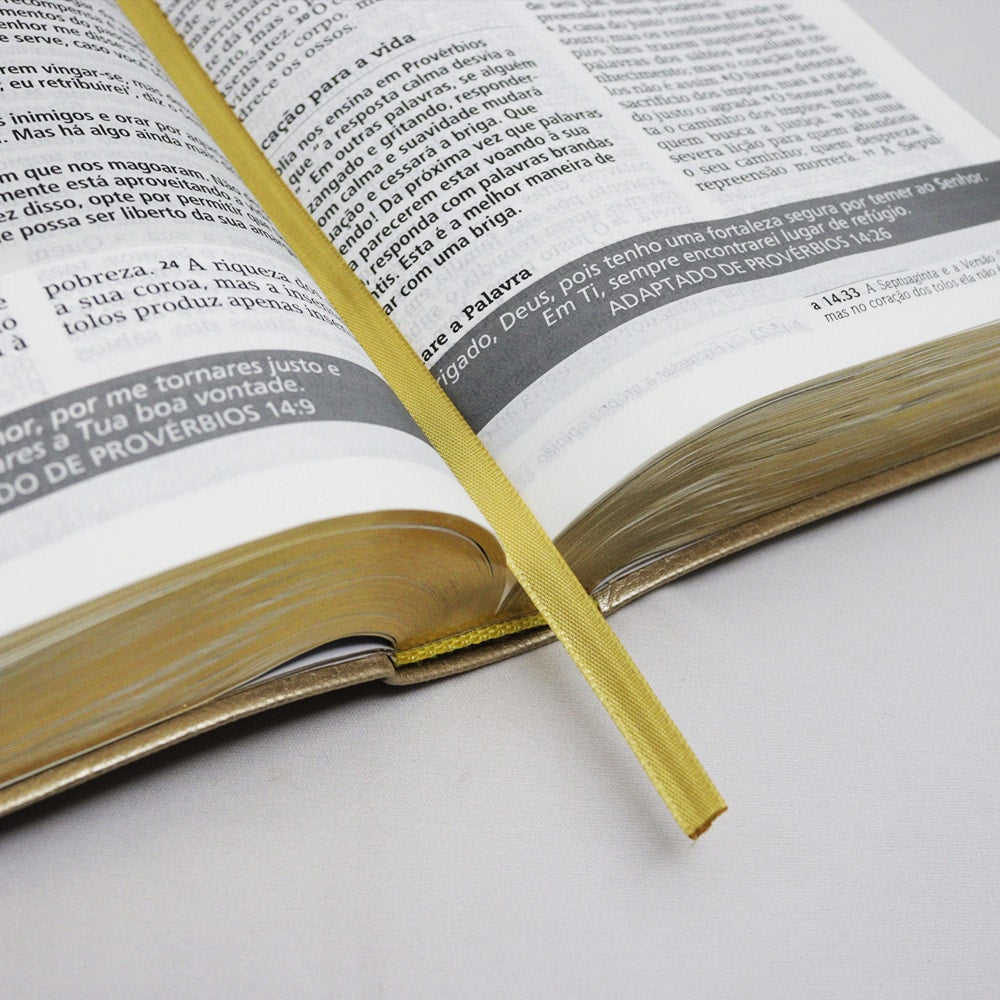 Bíblia De Estudo Joyce Meyer | NVI | Letra Grande | Capa Luxo Dourada