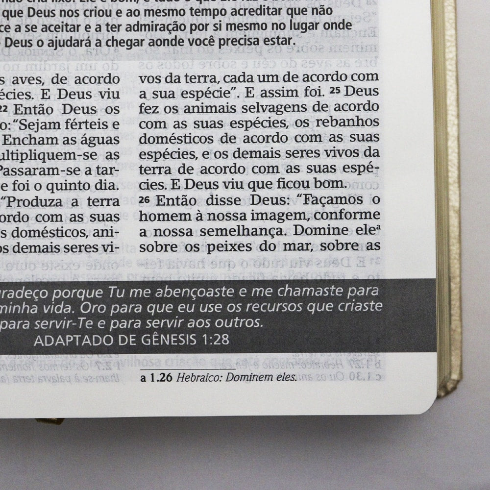 Bíblia De Estudo Joyce Meyer | NVI | Letra Grande | Capa Luxo Dourada