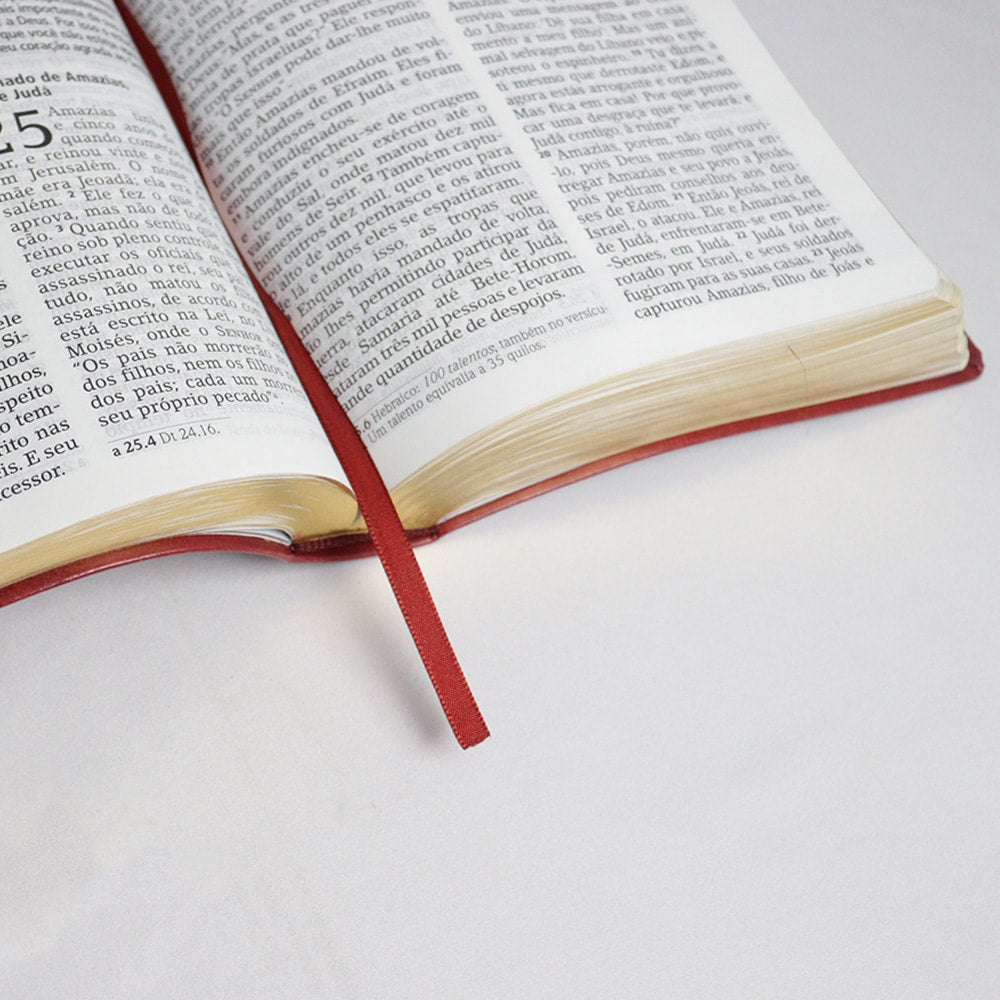 Bíblia De Estudo Joyce Meyer | NVI | Letra Grande | Capa Luxo Vermelha