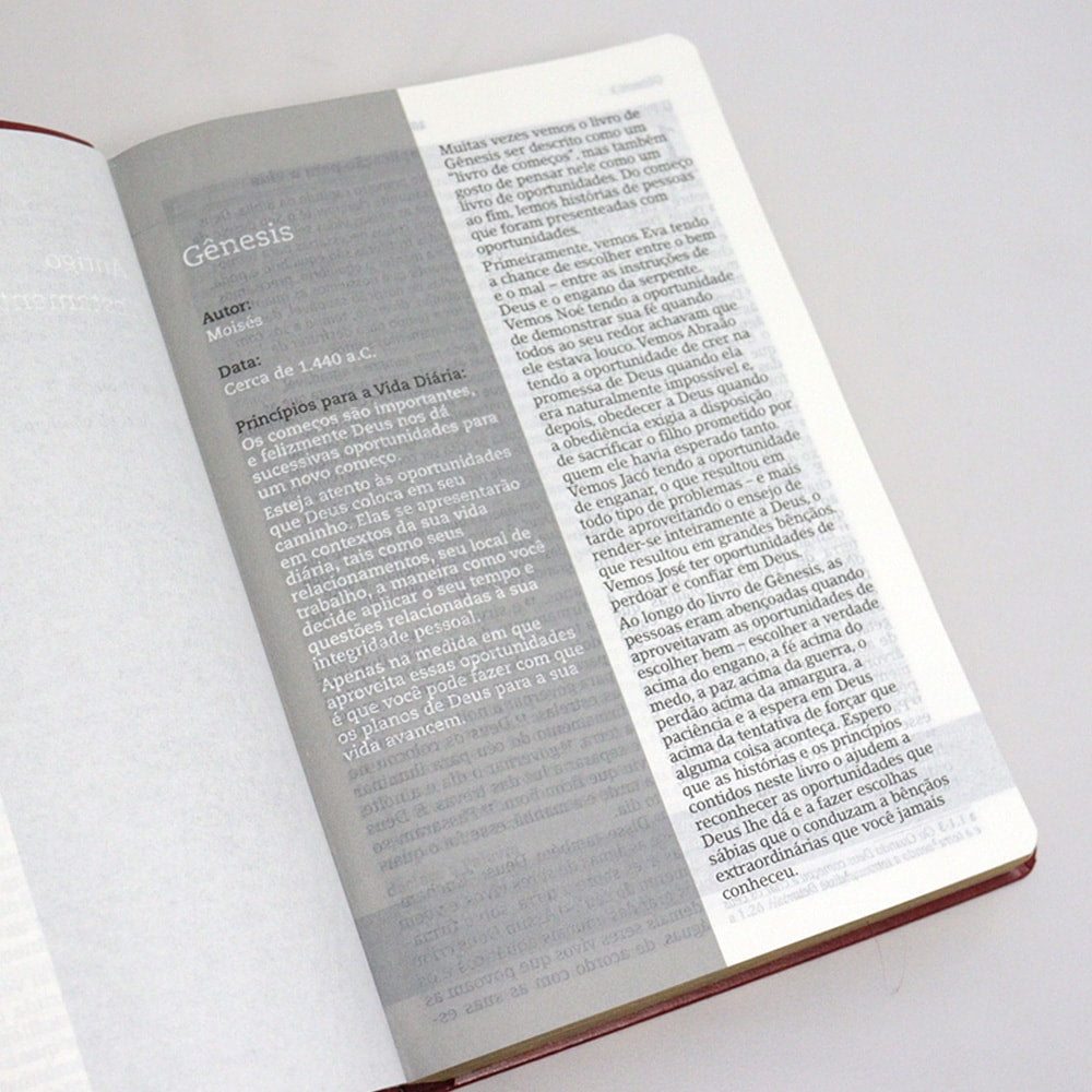 Bíblia De Estudo Joyce Meyer | NVI | Letra Grande | Capa Luxo Vermelha