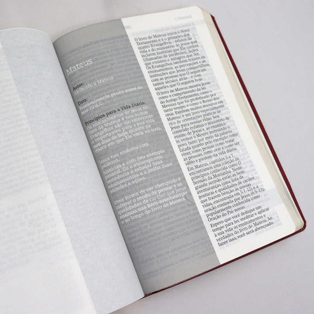Bíblia De Estudo Joyce Meyer | NVI | Letra Grande | Capa Luxo Vermelha