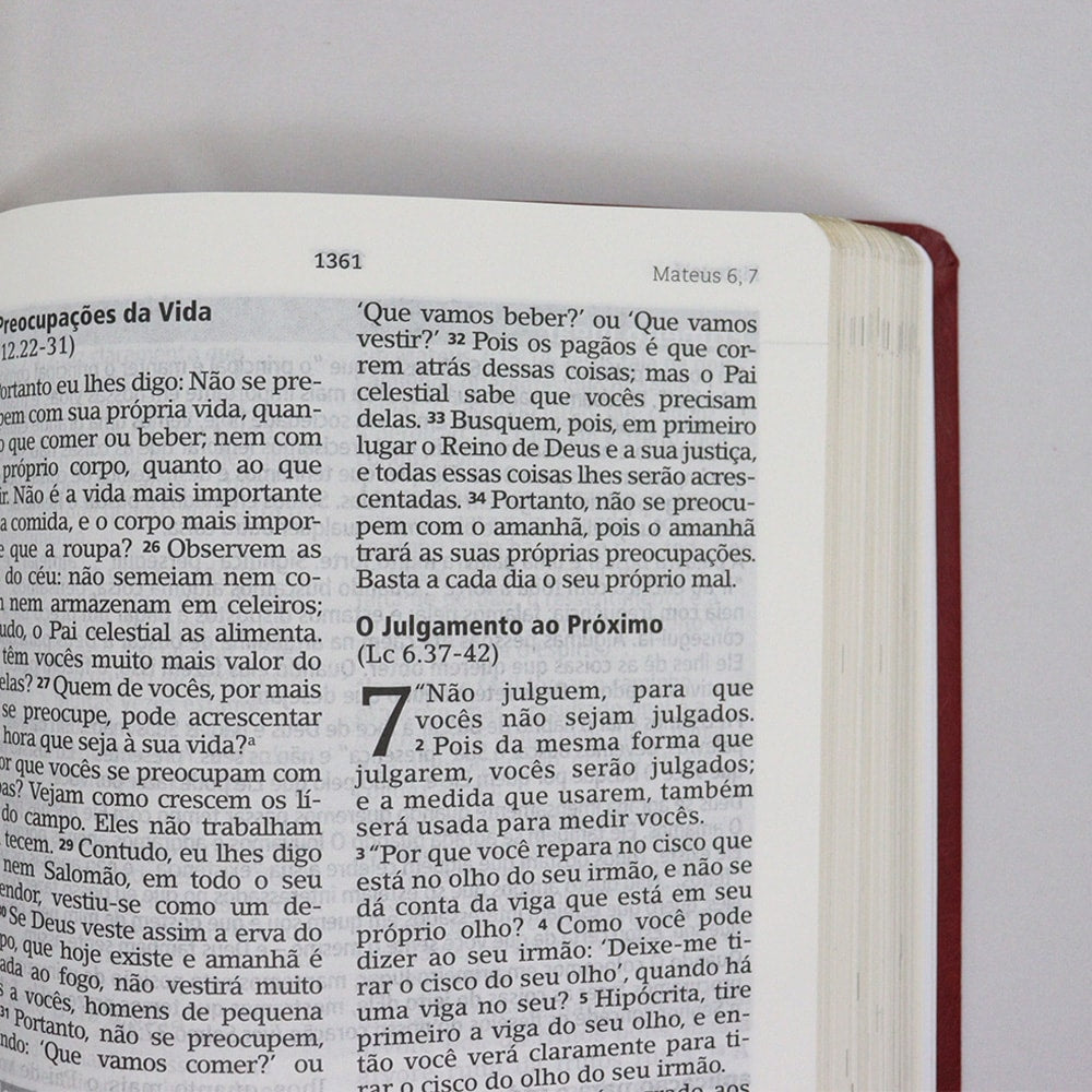 Bíblia De Estudo Joyce Meyer | NVI | Letra Grande | Capa Luxo Vermelha