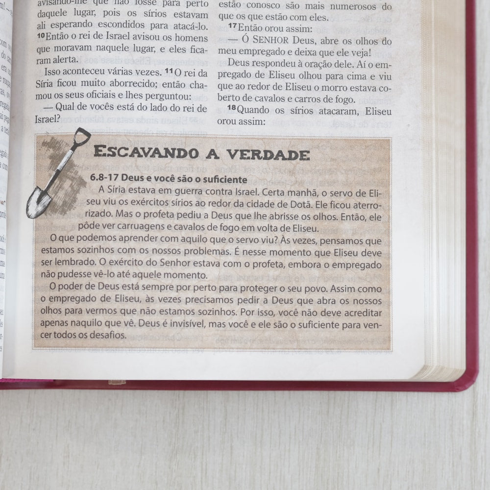 Bíblia das Descobertas para Adolescentes | Letra Normal | NTLH | Capa Luxo Rosa