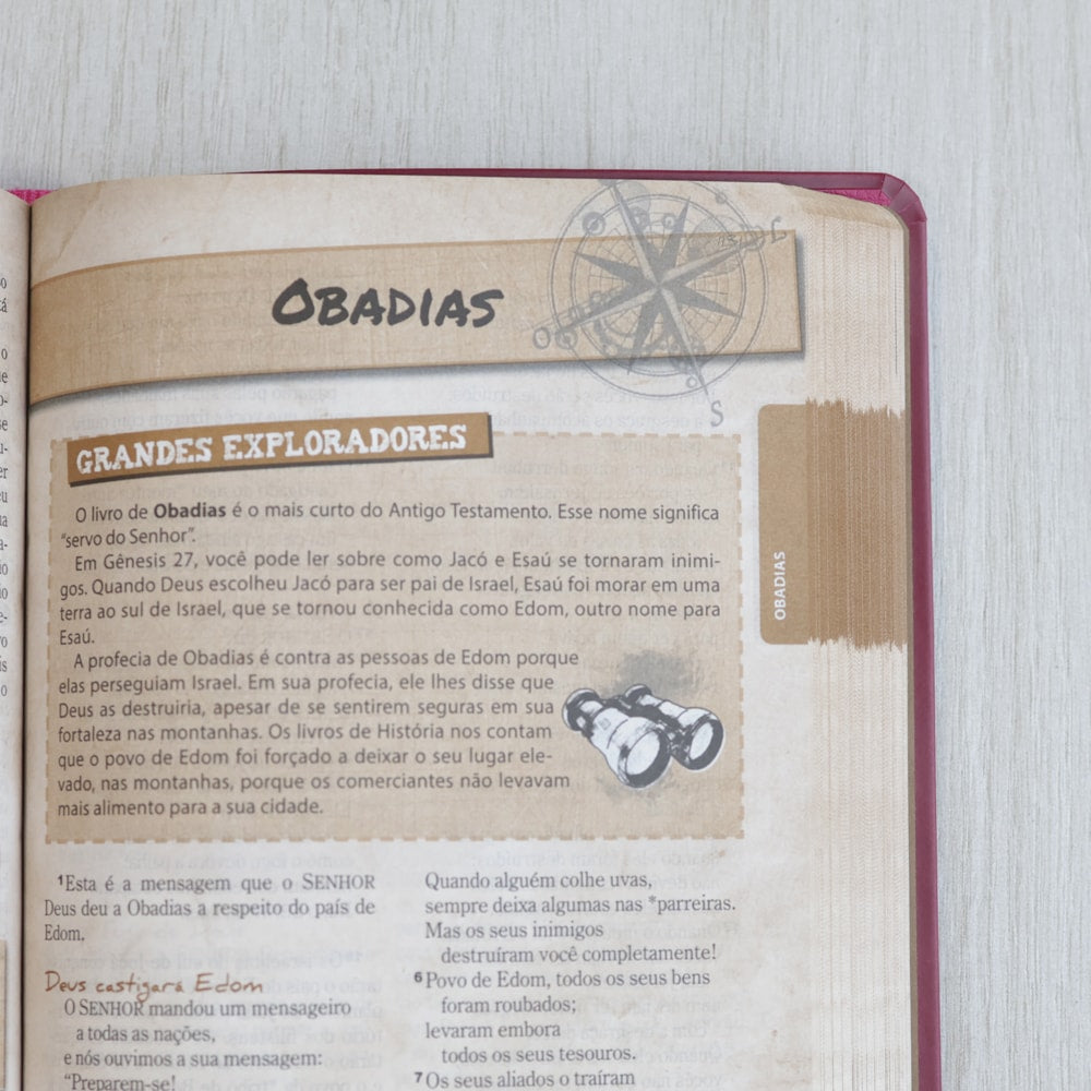 Bíblia das Descobertas para Adolescentes | Letra Normal | NTLH | Capa Luxo Rosa