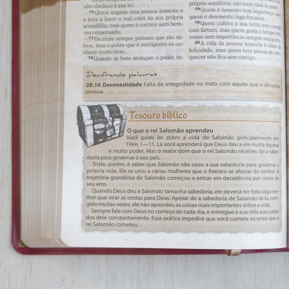 Bíblia das Descobertas para Adolescentes | Letra Normal | NTLH | Capa Luxo Rosa