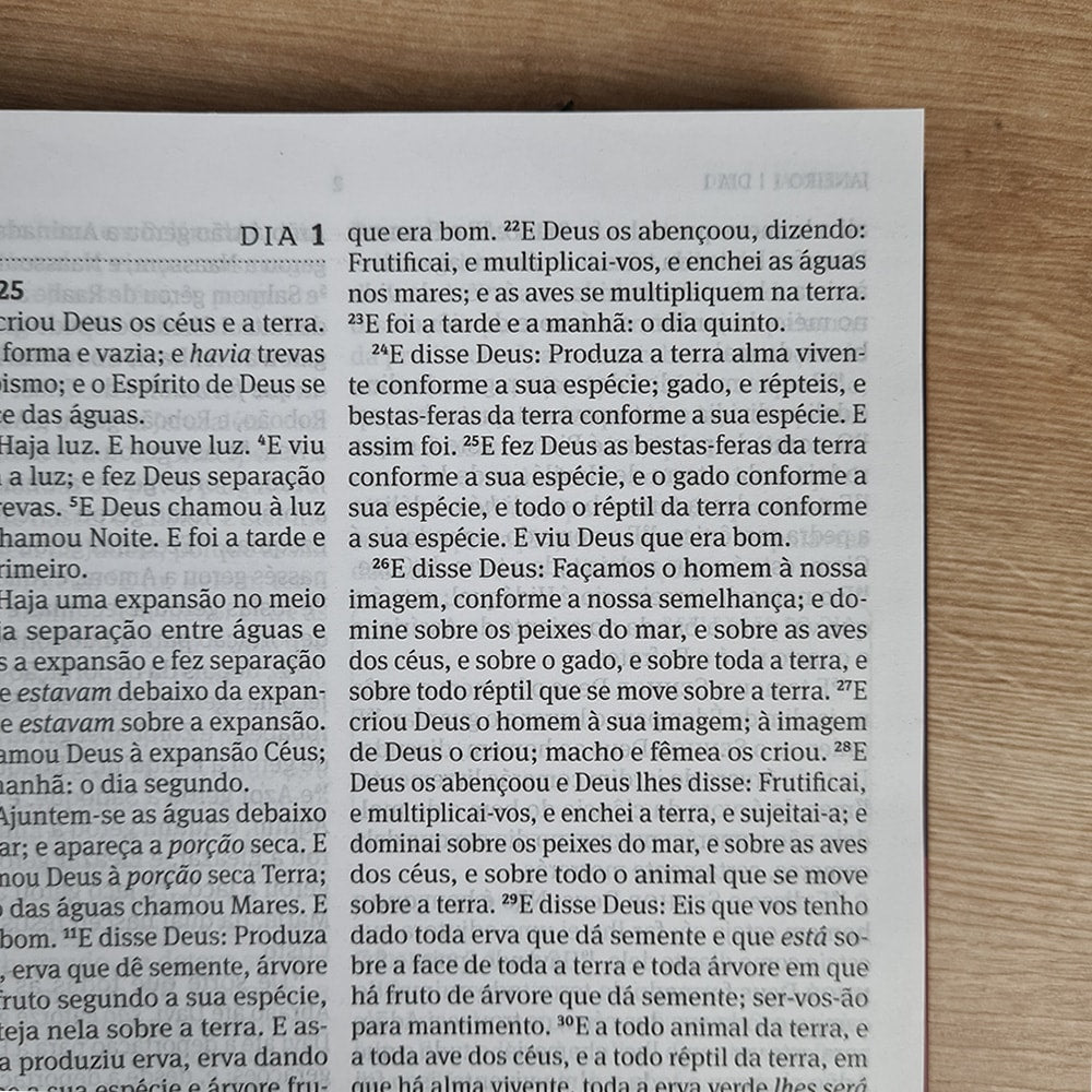 Bíblia 365 Vermelha | ARC | Letra Grande | Capa Brochura