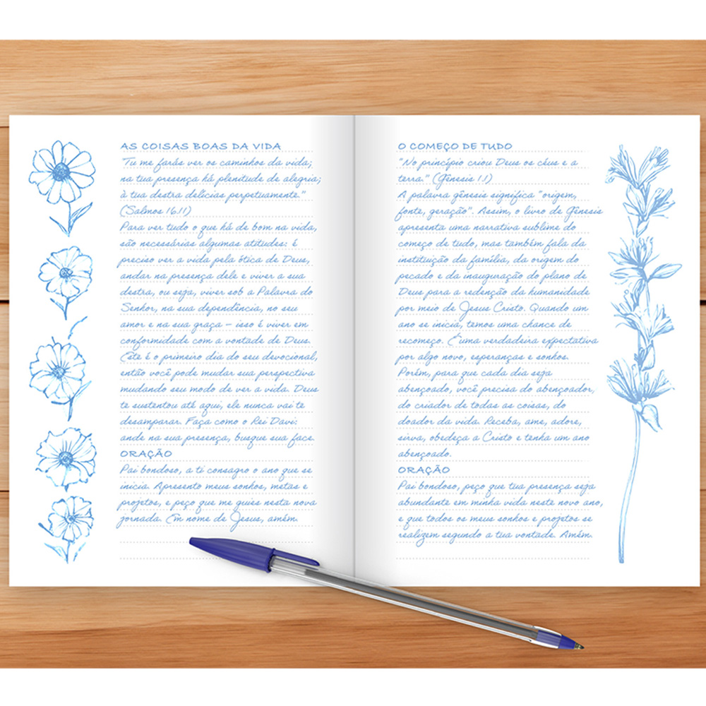 Sketch e Planner | Capa Brochura Lion Colors