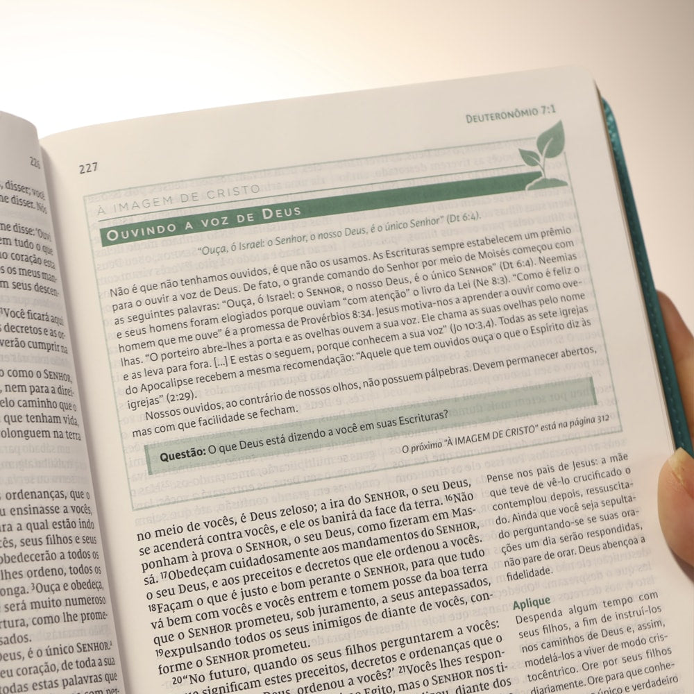 Bíblia de Estudo Max Lucado | NVI | Leitura Perfeita | Capa Luxo Verde