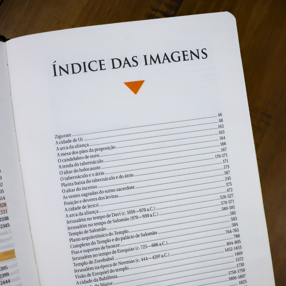 Bíblia de Estudo | NAA | Letra Normal | Tamanho Portátil | Capa Luxo