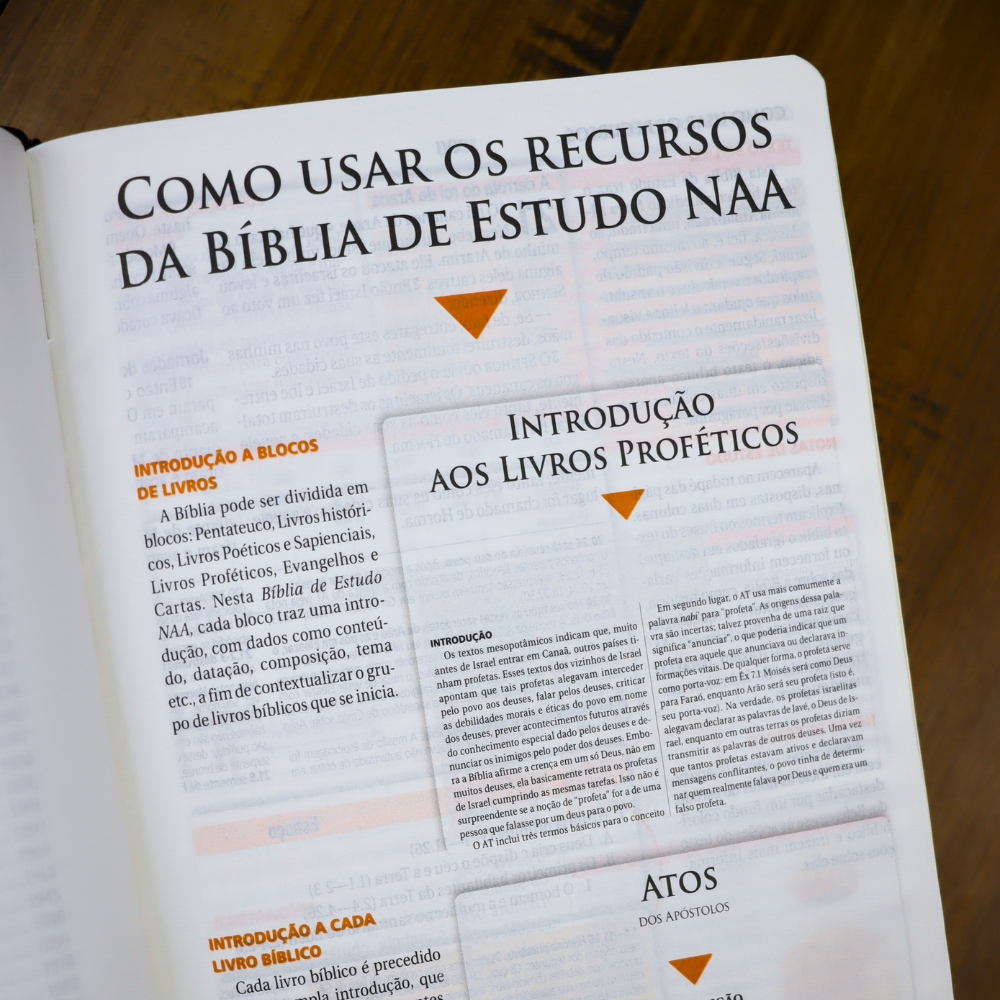Bíblia de Estudo | NAA | Letra Normal | Tamanho Portátil | Capa Luxo