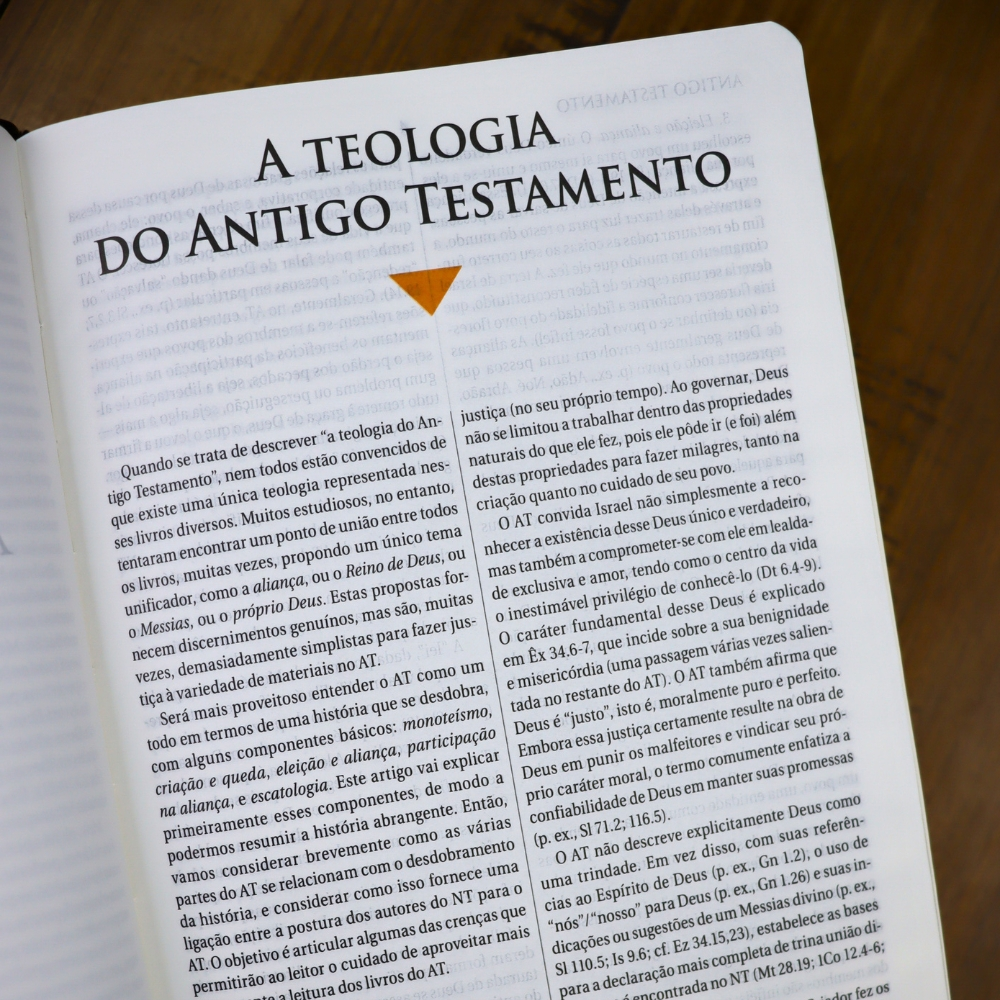 Bíblia de Estudo | NAA | Letra Normal | Tamanho Portátil | Capa Luxo