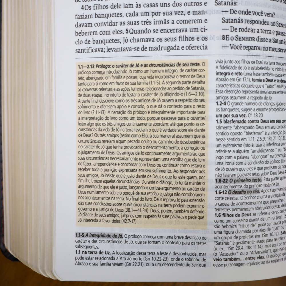 Bíblia de Estudo | NAA | Letra Normal | Tamanho Portátil | Capa Luxo
