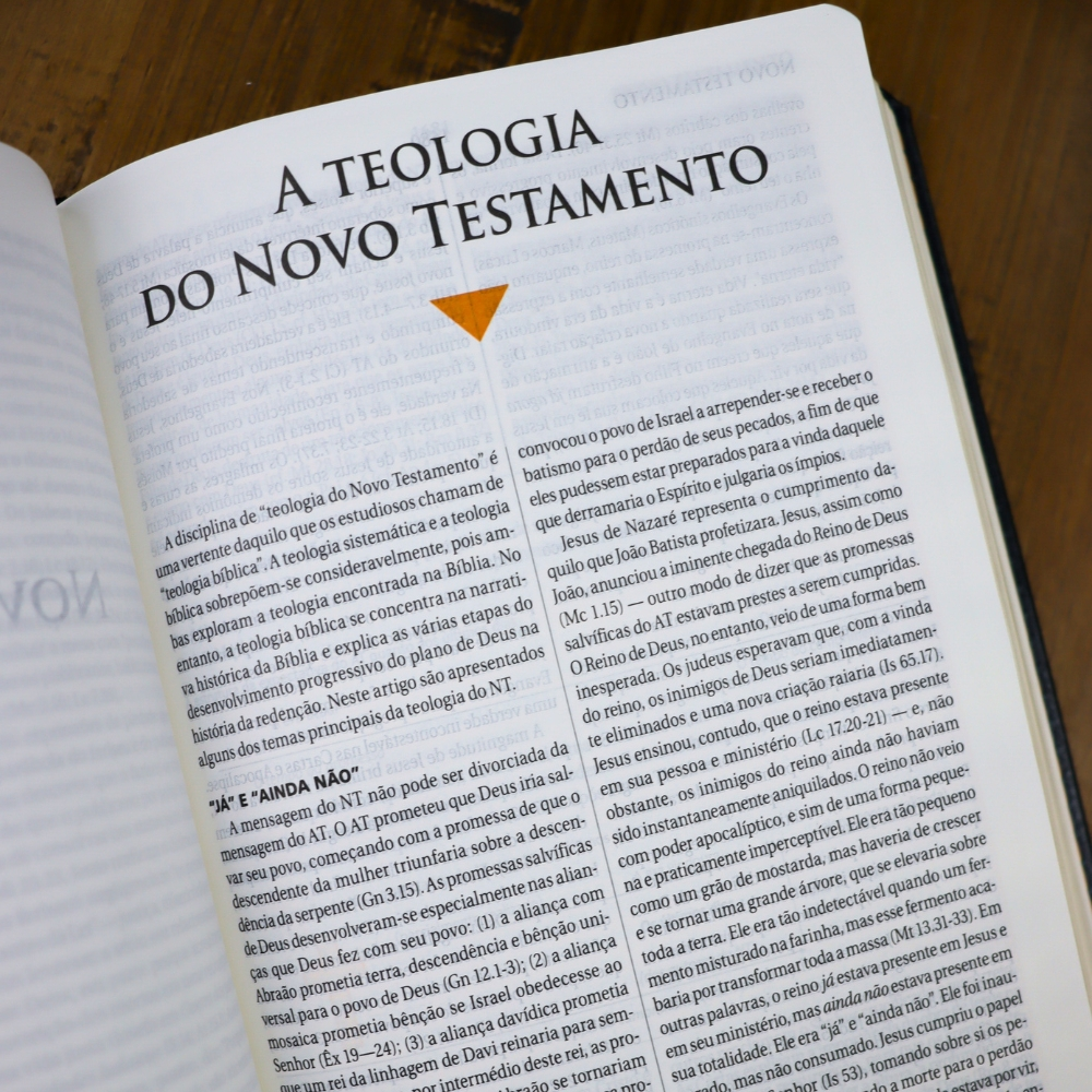 Bíblia de Estudo | NAA | Letra Normal | Tamanho Portátil | Capa Luxo