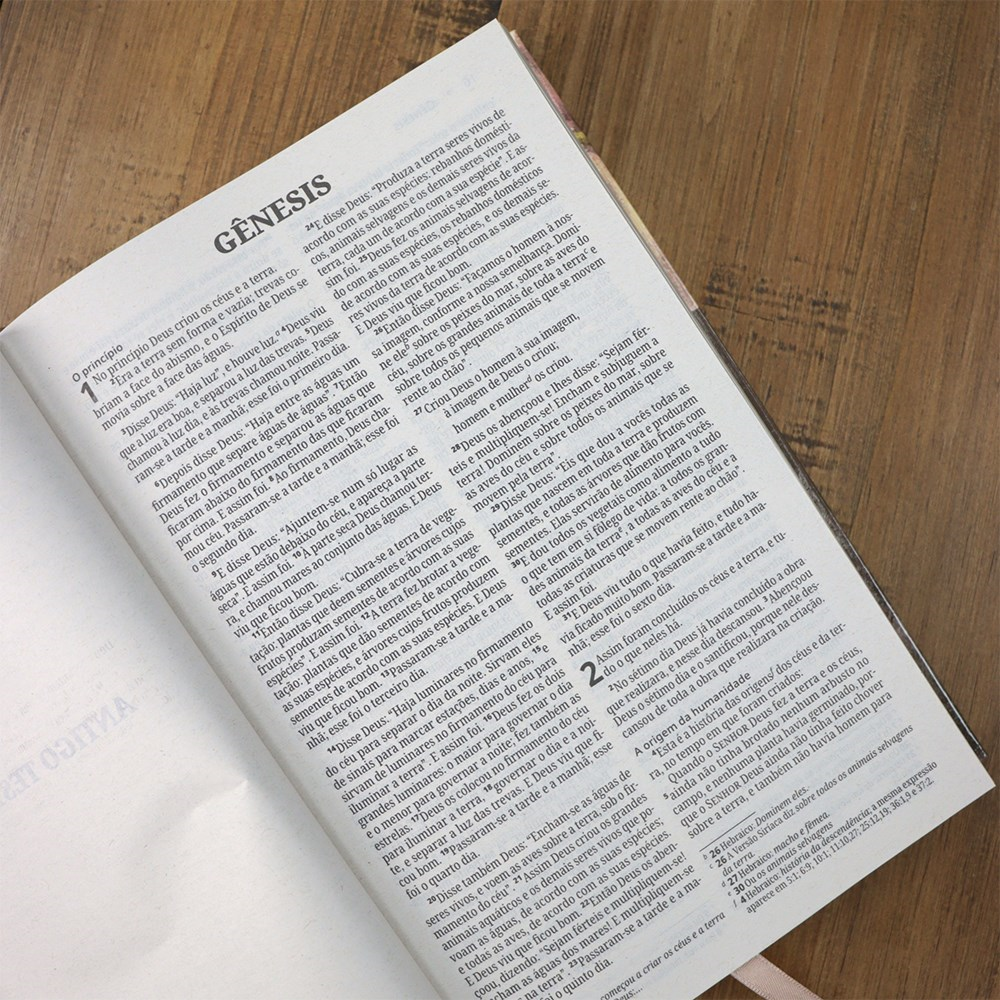 Bíblia Sagrada Pétala | NVI | Letra Normal | Capa Dura