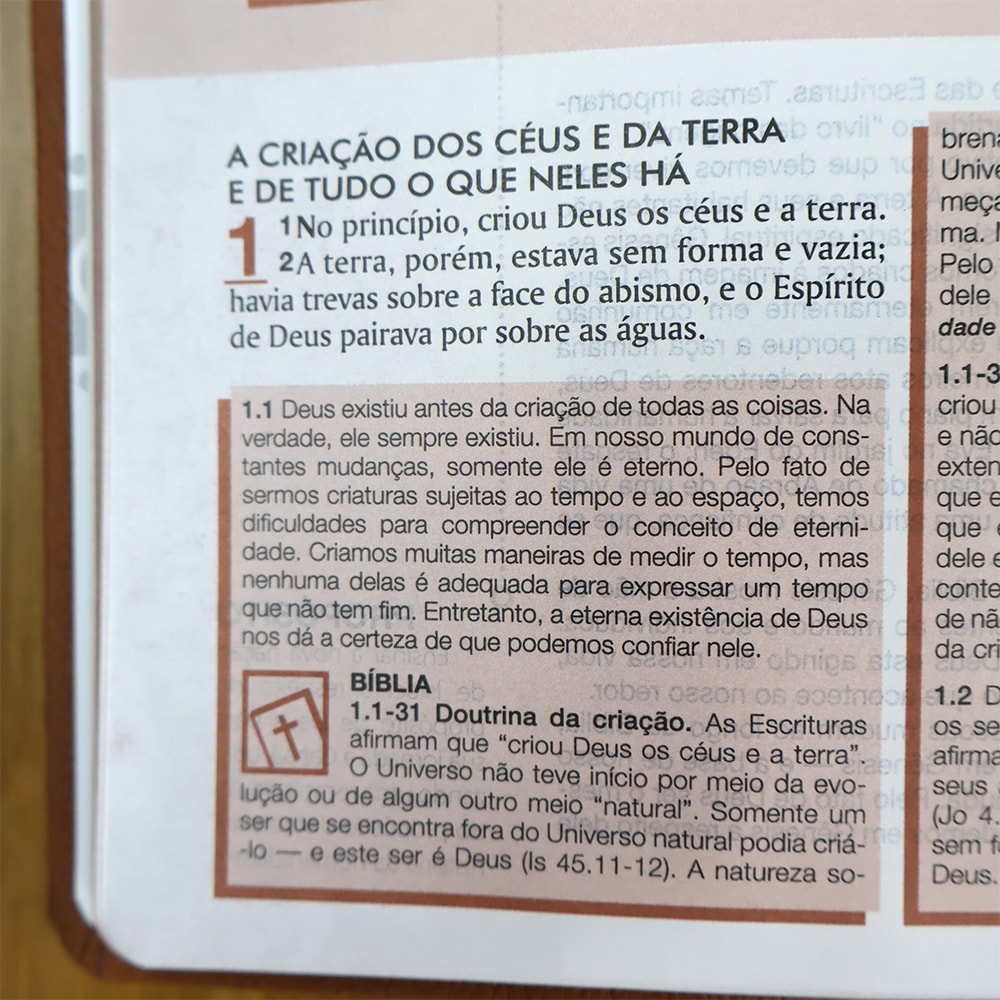 Bíblia de Estudo Esquematizada | ARA | Letra Normal | Capa Luxo Marrom