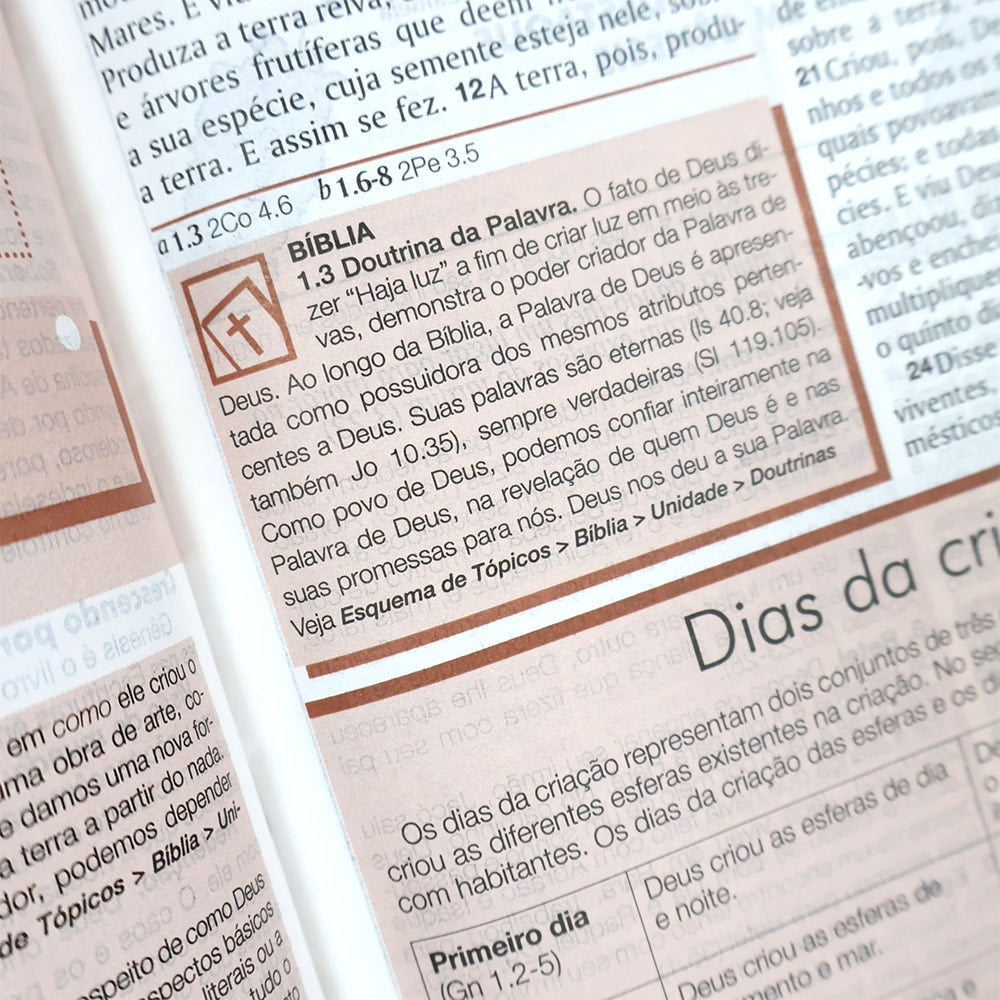 Bíblia de Estudo Esquematizada | ARA | Letra Normal | Capa Luxo Marrom