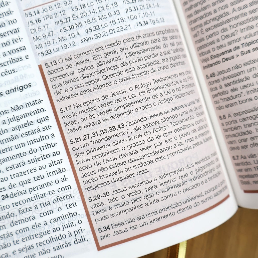 Bíblia de Estudo Esquematizada | ARA | Letra Normal | Capa Luxo Marrom