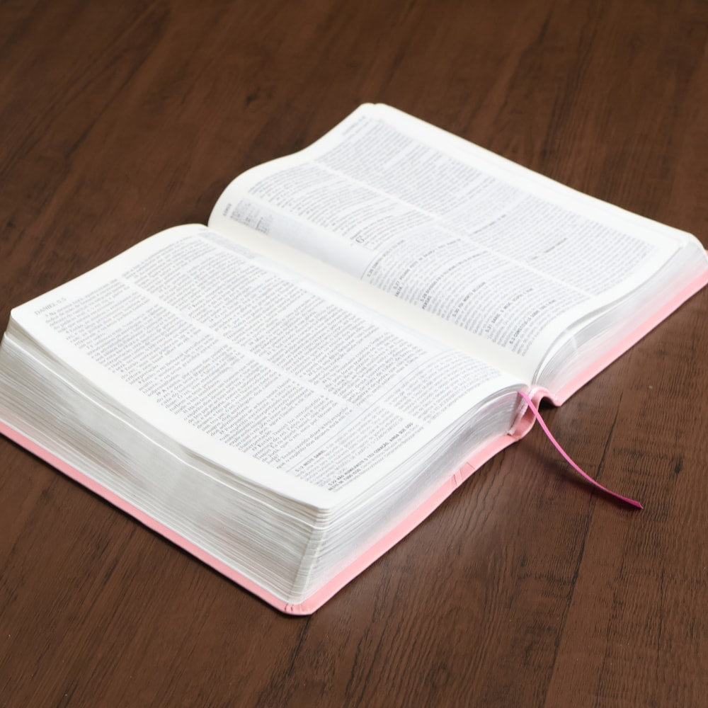 Bíblia de Estudo Pentecostal para Jovens | ARC | Letra Média | Luxo Rosa