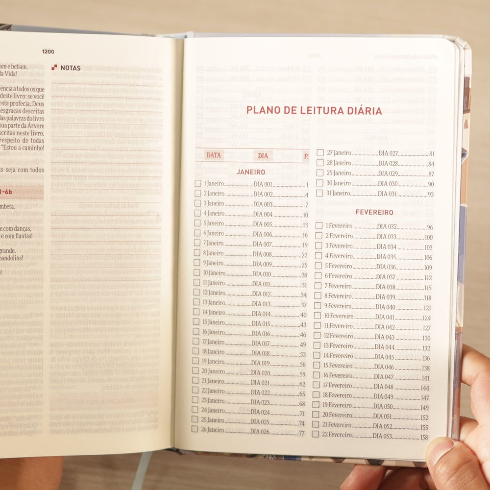 Bíblia Todo Dia com Espaço para Anotações | AM | Letra Normal | Capa Dura Cidade