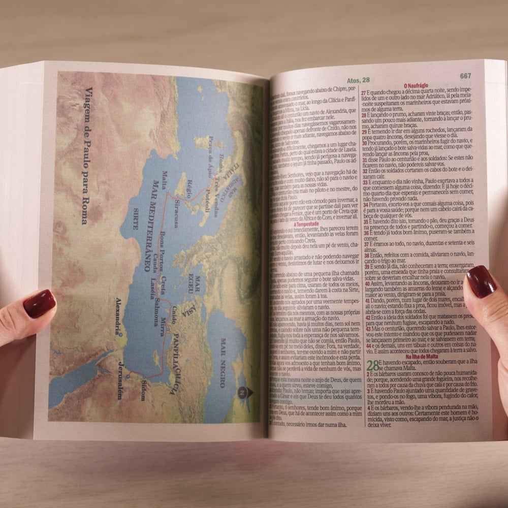 Bíblia Sagrada Leão Colorido | ARC | Letra Maior | Harpa e Corinhos | Capa Brochura